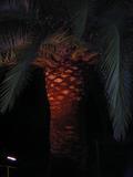 DSCN0247