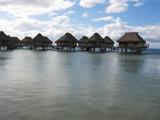 IMG_1724
