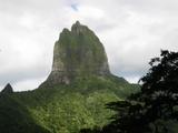 IMG_1760
