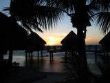IMG_1774