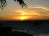 IMG_1776