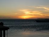 IMG_1779