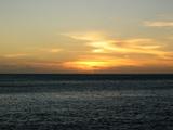 IMG_1781