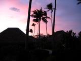 IMG_1790
