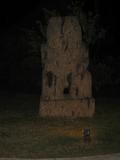 IMG_1799