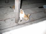IMG_1800