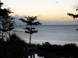 IMG_1846