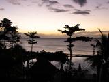 IMG_1848