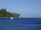 PIC_0005