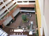 IMG_1601