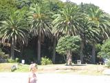 IMG_1647