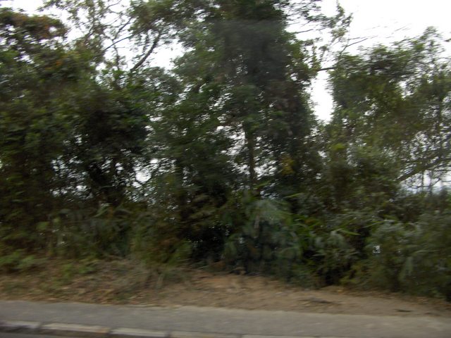 Holiday 059