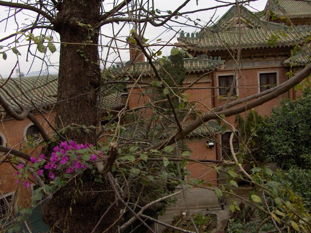 Holiday 085