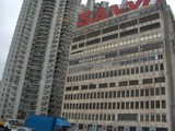 Holiday 048