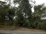 Holiday 059