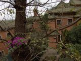 Holiday 085