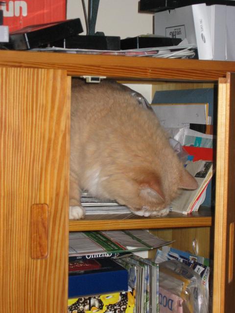 But Champers is interested now