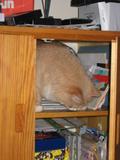 But Champers is interested now