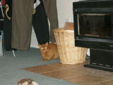 Brandy decides to hide