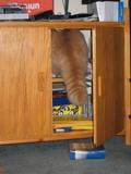 Top shelf it is