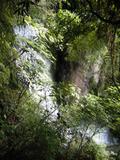 IMG_1266