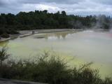IMG_1297