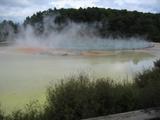 IMG_1298