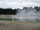 IMG_1329