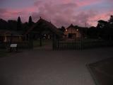 IMG_1356