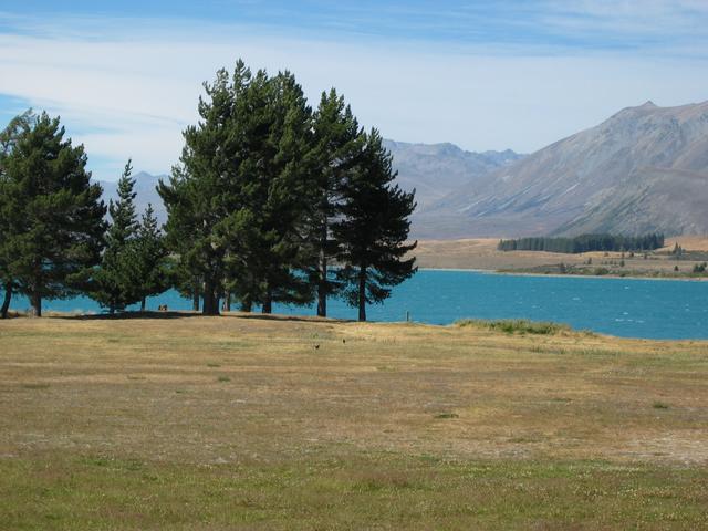 STE_0862