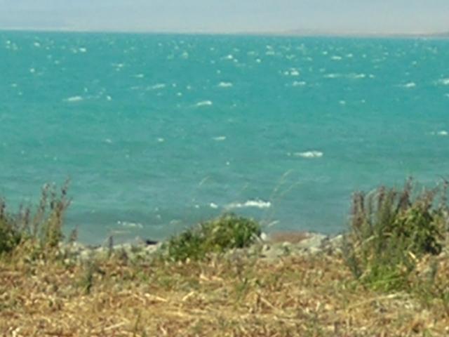 dscn0101