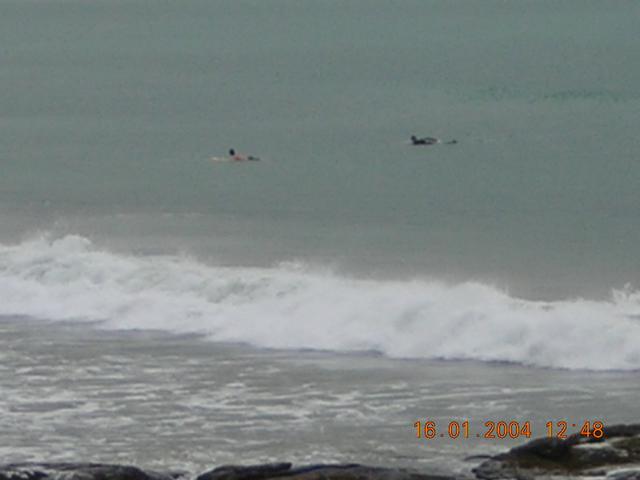 dscn0161