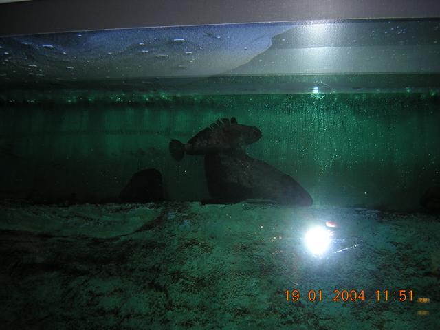 dscn0188