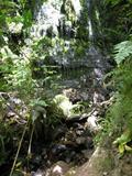 IMG_1001