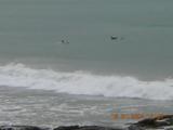 dscn0161