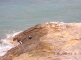 dscn0175