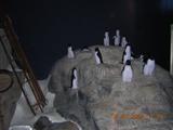 dscn0180