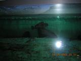 dscn0188