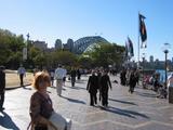 Sydney Harbour Bridge from The Rocks