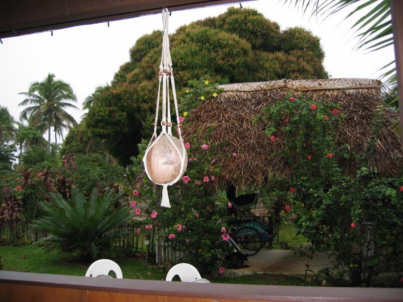 Taken while we were having breakfast, hoping the rain might break