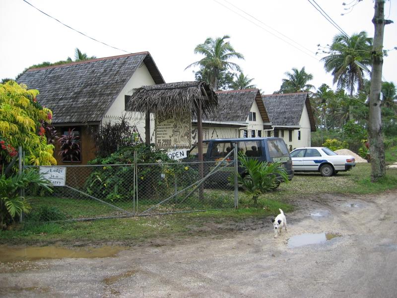 Outside view of Heilala from the track, plus the puppy managed to get out