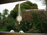 Taken while we were having breakfast, hoping the rain might break