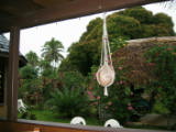 I'm beginning to wonder if they produce anything other than coconuts