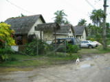 Outside view of Heilala from the track, plus the puppy managed to get out
