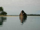 There are a lot of shipwrecks near here