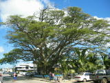 Raintree Square, just outside the Post Office.