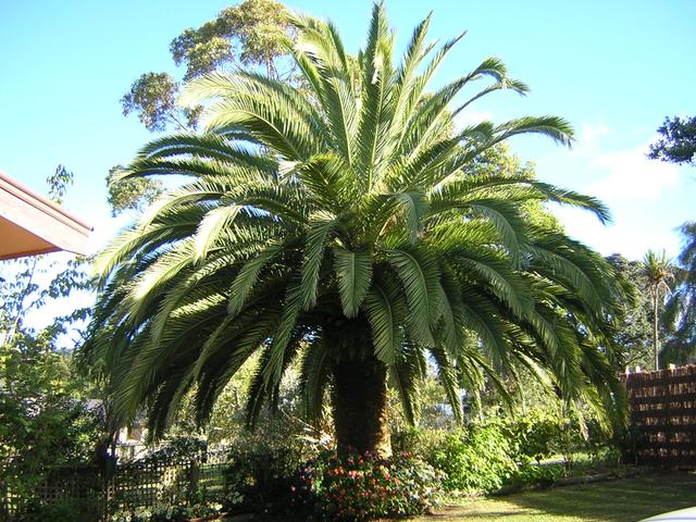 DSCN0444
